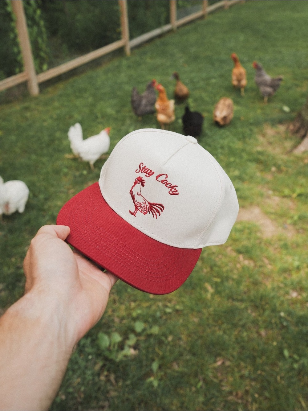 Stay Cocky Hat - Follow Your Legend